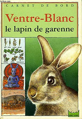 vignette