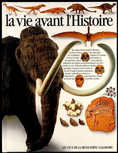 vignette